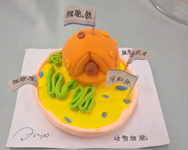 微信图片_20251022133548_87_4