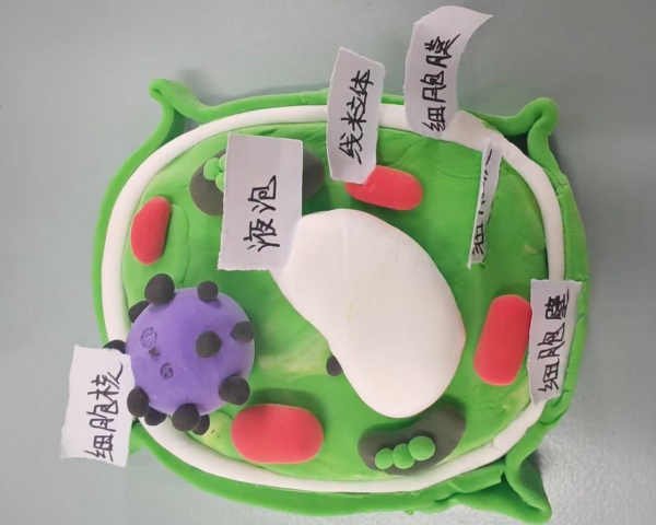 微信图片_20251022133551_93_4