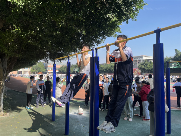 530e64fb8b8519d25beeab9b0363207b